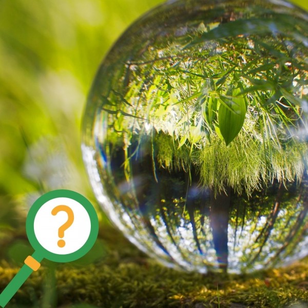 22 preguntas de Ciencias Sociales para niños de Primaria (con respuestas)