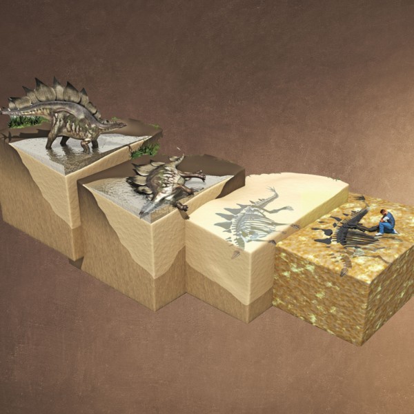 ¿Cuándo y cómo se descubrieron los dinosaurios?