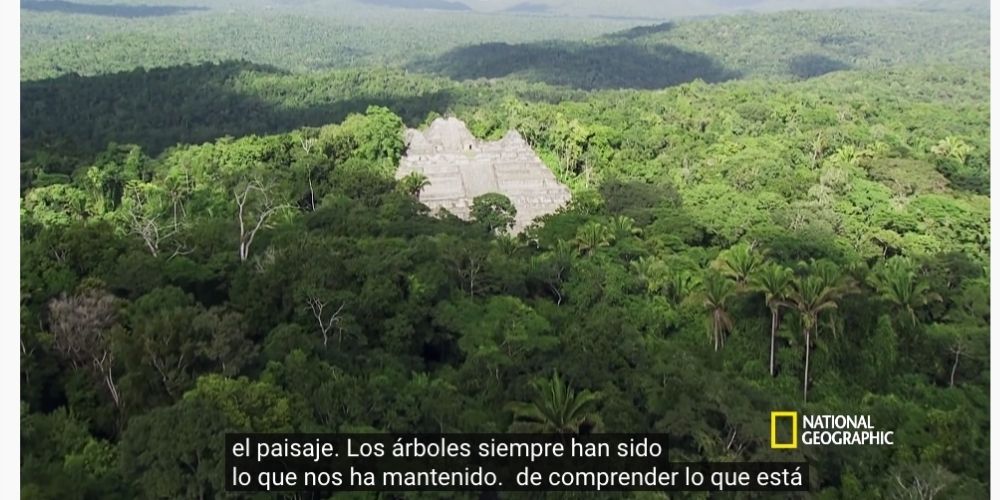traducir un vídeo de youtube