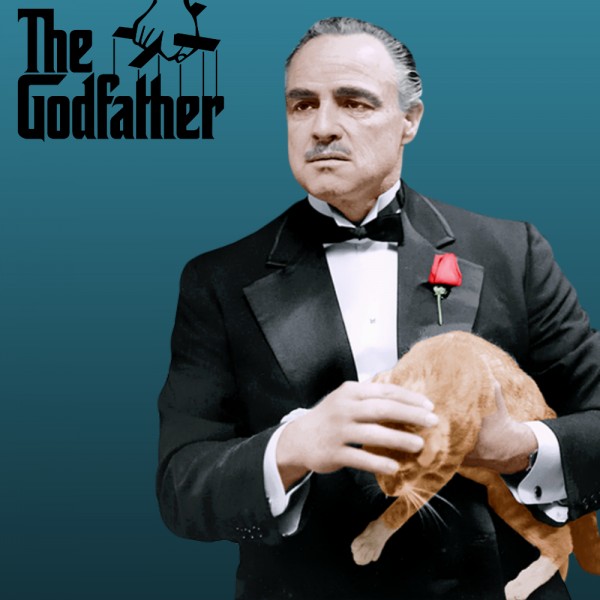 31 frases de El Padrino que han pasado a la historia + 9 curiosidades de la película