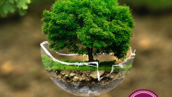 Test sobre el medioambiente para niños (con respuestas explicadas)