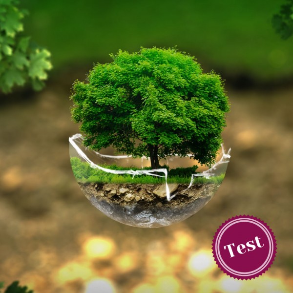 Test sobre el medioambiente para niños (con respuestas explicadas)
