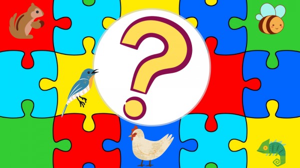 57 adivinanzas de animales para niños y mayores: ¿qué animal soy?