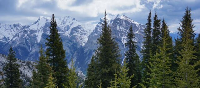 memoria a corto plazo