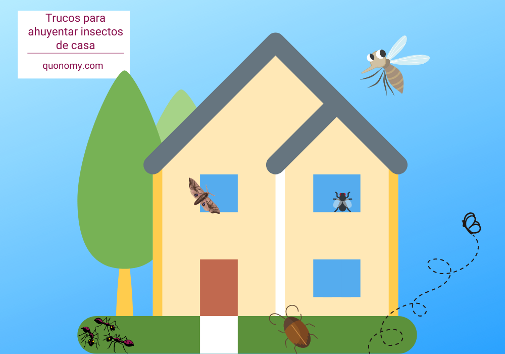 cómo ahuyentar insectos de casa