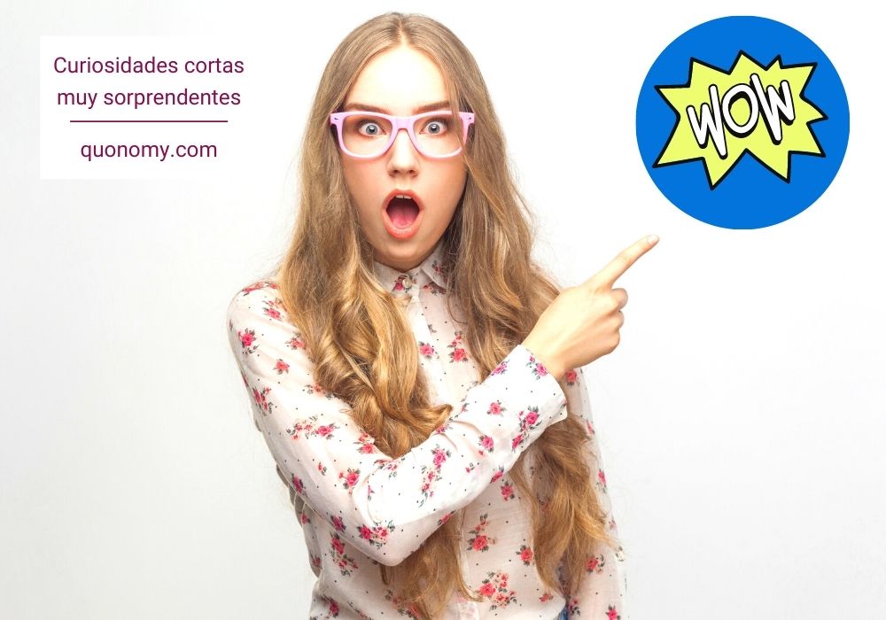 curiosidades cortas impactantes