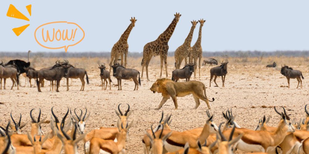 curiosidades cortas sobre el mundo