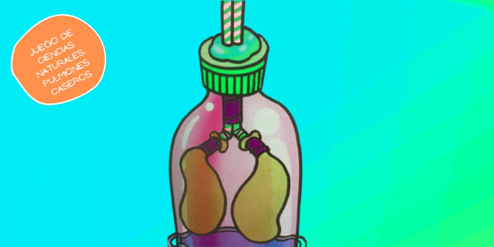 juegos de ciencias naturales para niños y adolescentes