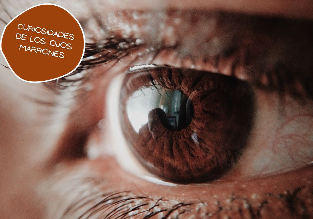 Curiosidades de los ojos marrones