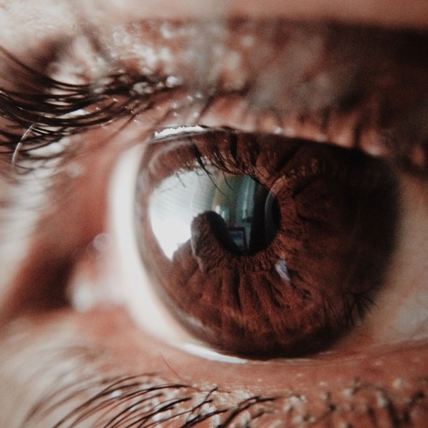 15 curiosidades sobre los ojos de color marrón que te sorprenderán
