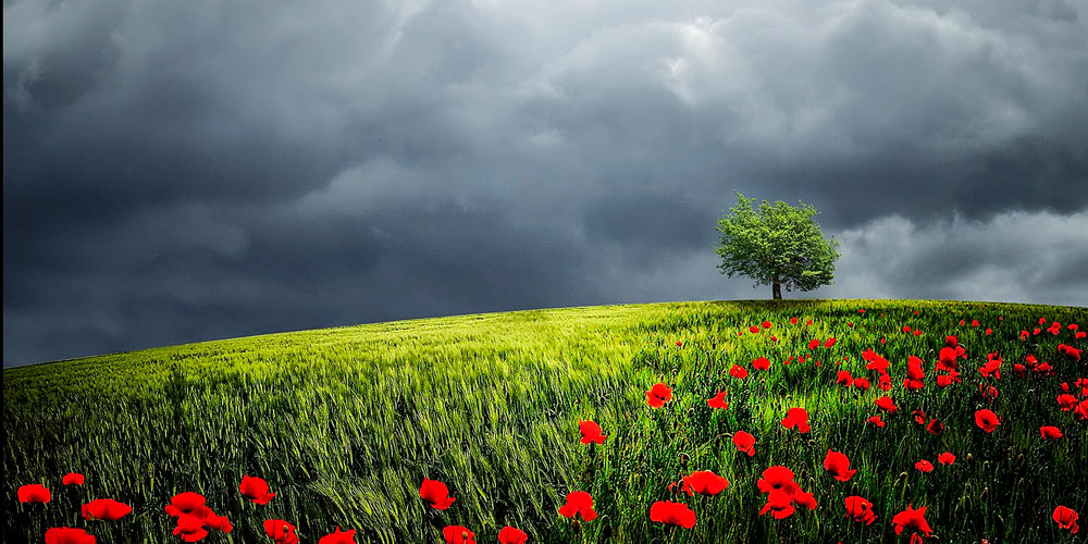 Nubes: nimboestratos