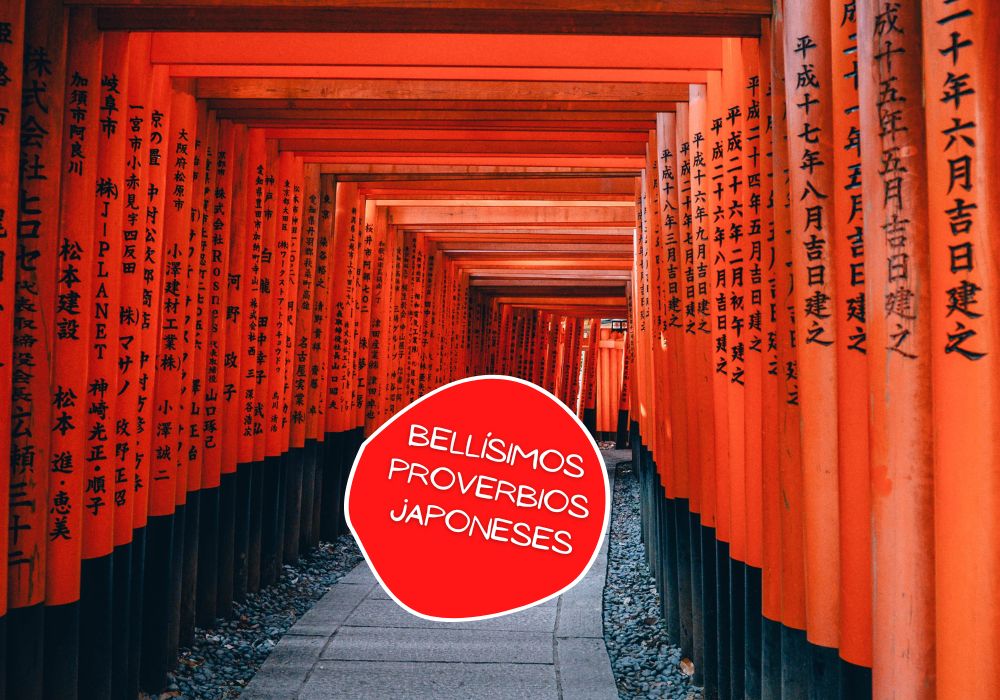 bellísimos proverbios japoneses