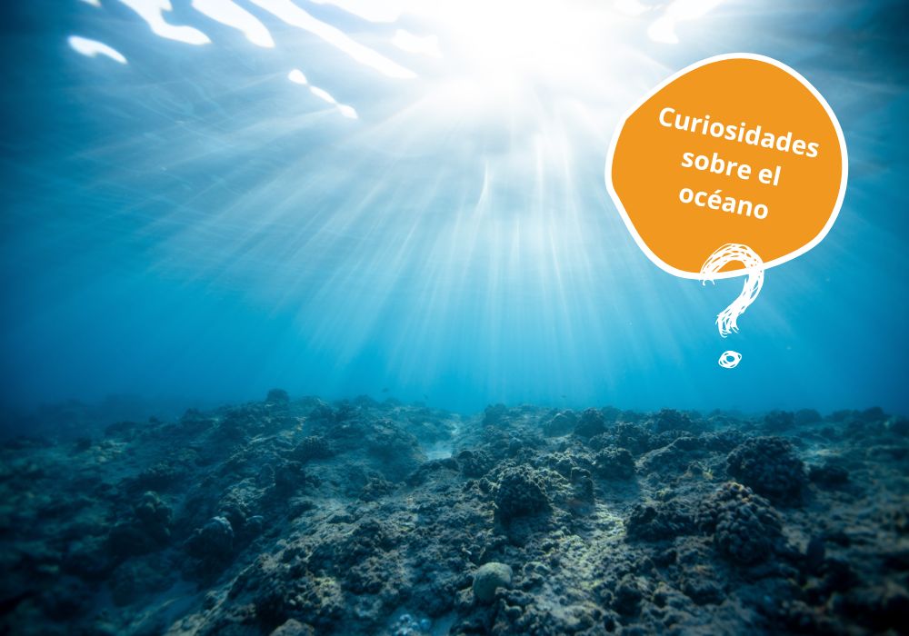 curiosidades de los océanos