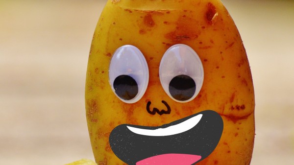 Historia de la patata: ¿Cómo llegó a la patata a las cocinas de todo el mundo?