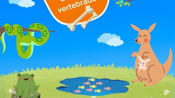 18 preguntas sobre animales vertebrados para niños: Quiz fácil