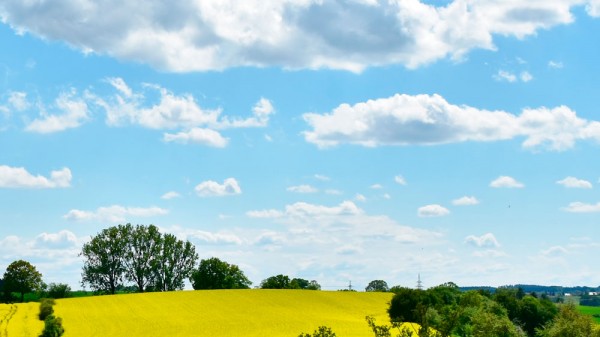 Cómo aprender a diferenciar los distintos tipos de nubes