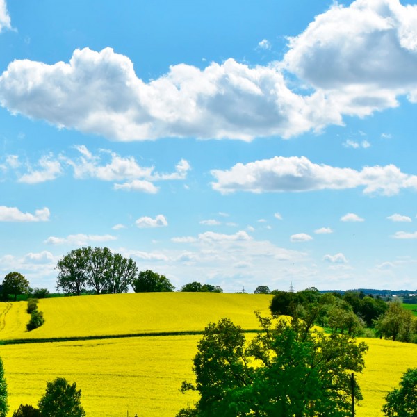 Cómo aprender a diferenciar los distintos tipos de nubes