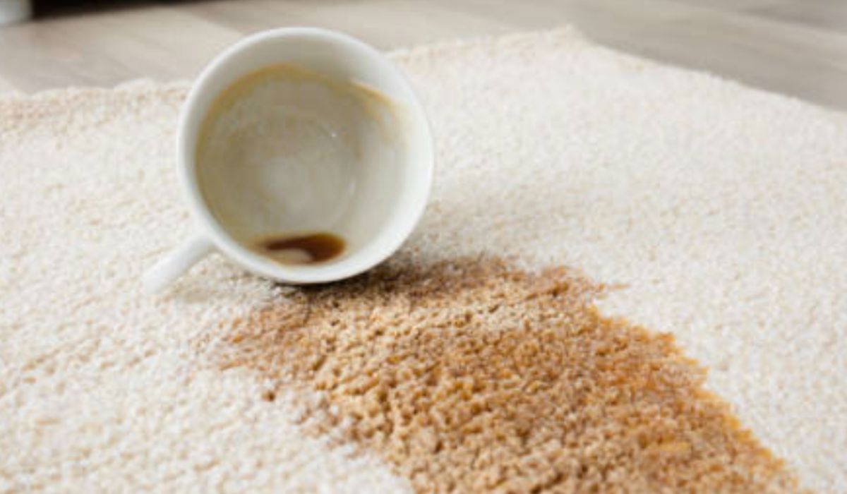 quitar manchas de café de la alfombra