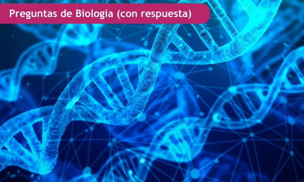 preguntas sobre biología