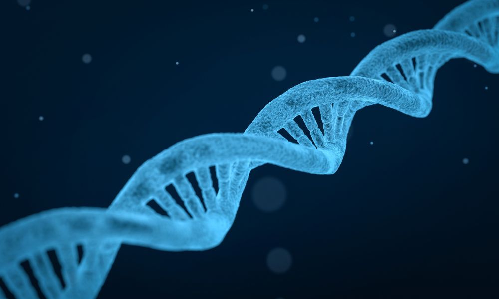 juego de preguntas sobre biología