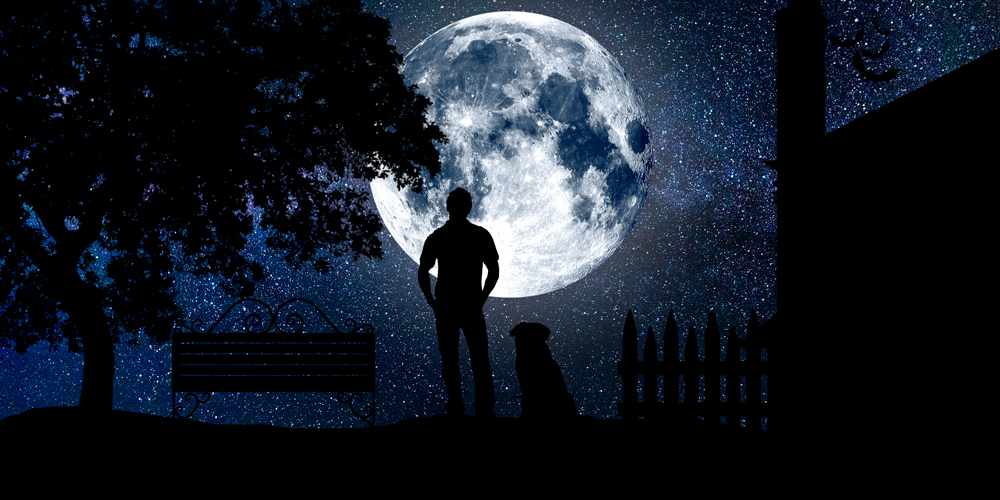 Calendario astronómico 2019: eclipse, planetas, estrellas