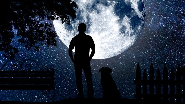 Calendario astronómico 2019: fases lunares, eclipses, conjunciones de planetas y lluvias de estrellas