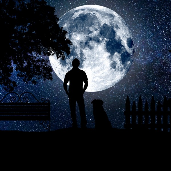 Calendario astronómico 2019: fases lunares, eclipses, conjunciones de planetas y lluvias de estrellas