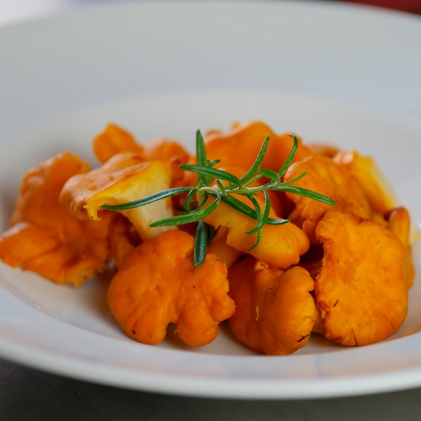 Cómo cocinar níscalos. 3 recetas de níscalos fáciles y deliciosas
