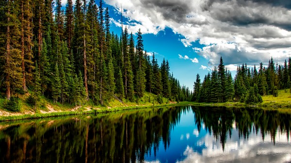 Cuáles son los lagos más grandes de la Tierra