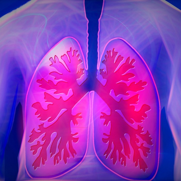 Cómo funcionan los pulmones y qué hacer para mejorar la capacidad pulmonar