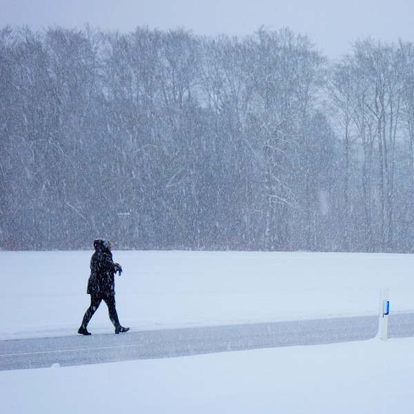 Qué hacer en caso de ola de frío